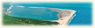 La Palmyre